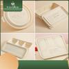 Mr. Corn Biodegradable Corn Starch Dumpling Box