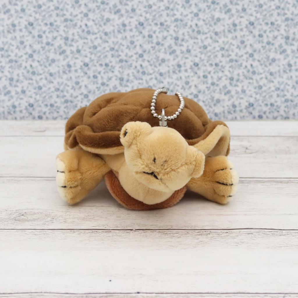 Take Off Tortoise Ball Chain