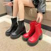 Женские ботинки 2024 Зимние утепленные хлопковые ботинки Водонепроницаемая платформа Толстый высокий каблук Застежка-молния сзади Короткие ботинки Универсальная обувь Женщины