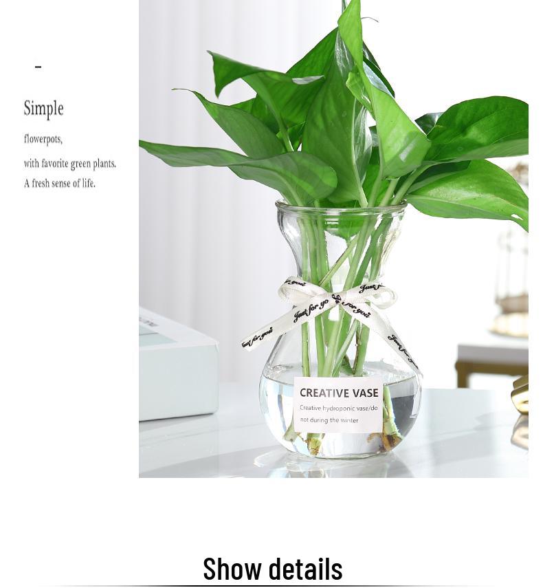 Transparent Glass Vase for Hydroponic Plants and Flower Arrangements
