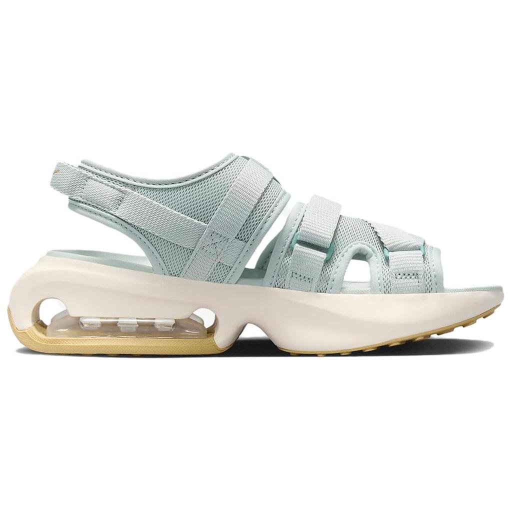 Nike Сандалии Air Max Sol Нескользящие Прочные Пляжные Сандалии Женские Сандалии Светло-голубые Белые FD5982-001