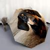 1pc Dachshund Paws Umbrella with Plastic Handle,Suitable for All Seasons Home Travel Outdoor UmbrellaDD1755