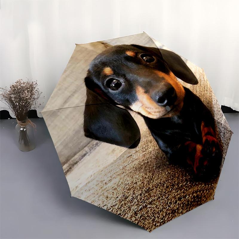 1pc Dachshund Paws Umbrella with Plastic Handle,Suitable for All Seasons Home Travel Outdoor UmbrellaDD1755