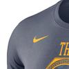 Nike Футболка с круглым вырезом и коротким рукавом с принтом логотипа и буквами Golden State Warriors Curry Reward Edition для мужчин, серая AO0887-477
