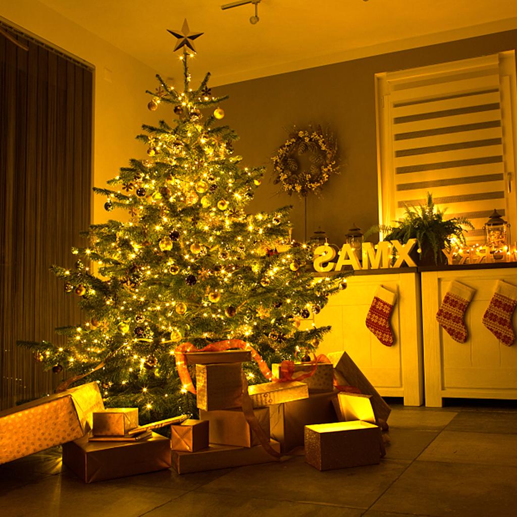 10 м, 20 м, 30 м, 50 м, 100 м, сказочные гирлянды, 24 В, водонепроницаемый адаптер, адаптер для наружного рождественского сада, вечеринки, праздничное свадебное украшение с вилкой европейского стандарта