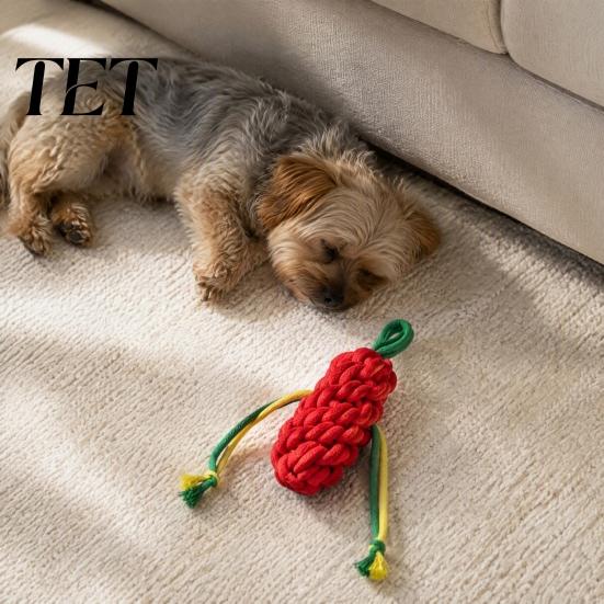 Soft Cotton Teething Rope for Dogs Squeaky Dog Chew Toy Aggressive Chewers, Vegetable Shaped Puppy Interactive Toys Training Toy, Braided Biting Small