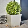 VidaXL Planters 2 Pcs 50x50x50 Cm Stainless Steel, Outdoor Planter, Flower Box, Garden Box, Planter 851075