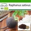 Органический - Редис - Черный испанский круглый - 100 семян - С горшечным субстратом для лучшего выращивания - Raphanus sativus