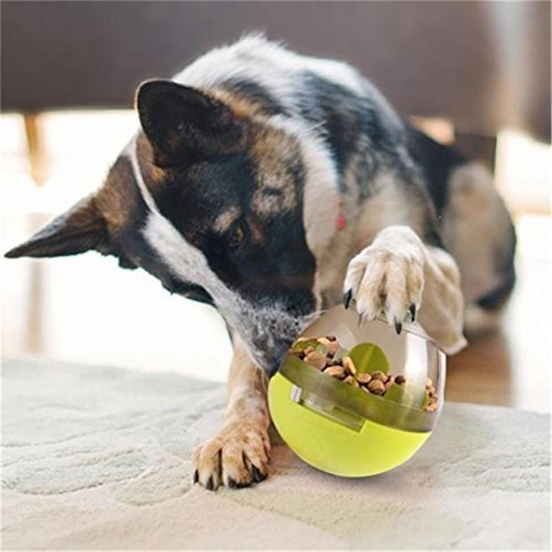 Интерактивная игрушка для кошек IQ Treat Ball, умные игрушки для домашних животных, шарик для еды, диспенсер для еды для кошек, играющих в тренировочные мячи для домашних животных