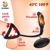 Мужской массажер простаты с задержкой по времени, проводное управление, анальные секс-игрушки, блокировка пениса, яичка для задержки эякуляции, анальная пробка, вибратор для мужчин