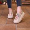 2025 весна маленькие белые туфли новая корейская версия женские студенческие туфли на платформе с увеличенным каблуком спортивная обувь повседневная уличная обувь BT399