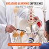 VEVOR Human Skeleton Model for Anatomy, 1820 mm Life Size, Accurate PVC Anatomy Skeleton Model with Ligaments, Movable Arms, Legs & Jaw