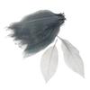 Magnolia Skeleton Leaf Sheets Scrapbooking