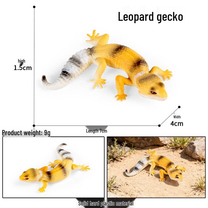 Cute Animal Models: Japanese Raccoon, Flying Squirrel, Monkey, Rabbit, Squirrel, Shiba Inu, Tiger, Lion, Lizard Toy Set