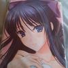 [USED] Walkure Romanze More & More Getchuya Bonus Body Pillow Cover