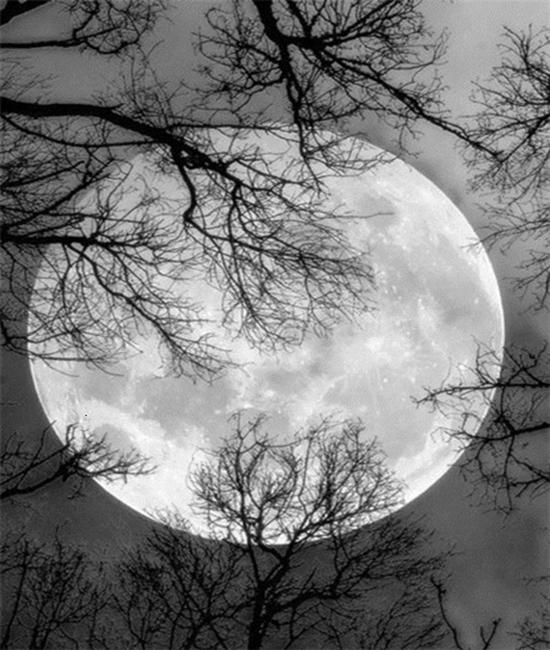 RUOPOTY Paint By Numbers Moon Scenery Unique Gift Home Decoration Picture By Number Sea Acrylic Drawing On Canvas