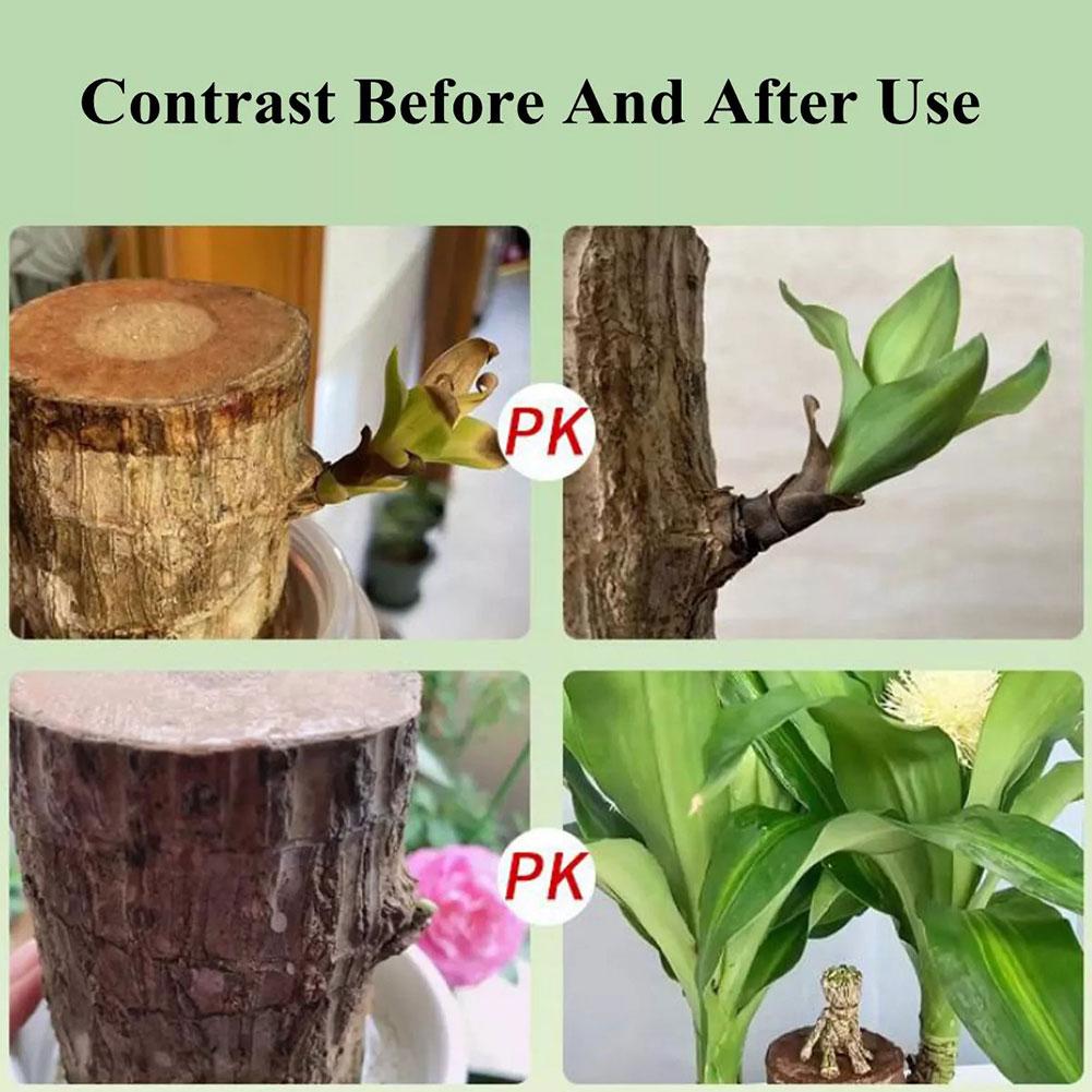 1/3/5 шт. бразильская древесная подкормка для растений Lucky Brazilian Wood жидкое удобрение бразильское древесное питательное средство комнатное удобрение
