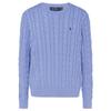 Polo FW22 Однотонный свитер с вышитым маленьким пони, вязаный косами, с круглым вырезом и длинными рукавами, мужской свитер, синий 710775885-037