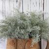 Realistic Eucalyptus Breath DIY Green Shrubs Artificial Rosemary Plants  Rustic Farmhouse