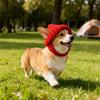 Игривая зимняя шапка для собаки Pet Headgear Шапка для собаки с ушками Легко чистящаяся Шапка-бини для собаки для активного отдыха Путешествий Зима