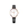 Women's Watch Simple Ins Belt Temperament Quartz Watch Digital Scale Casual Student Watch for Women
