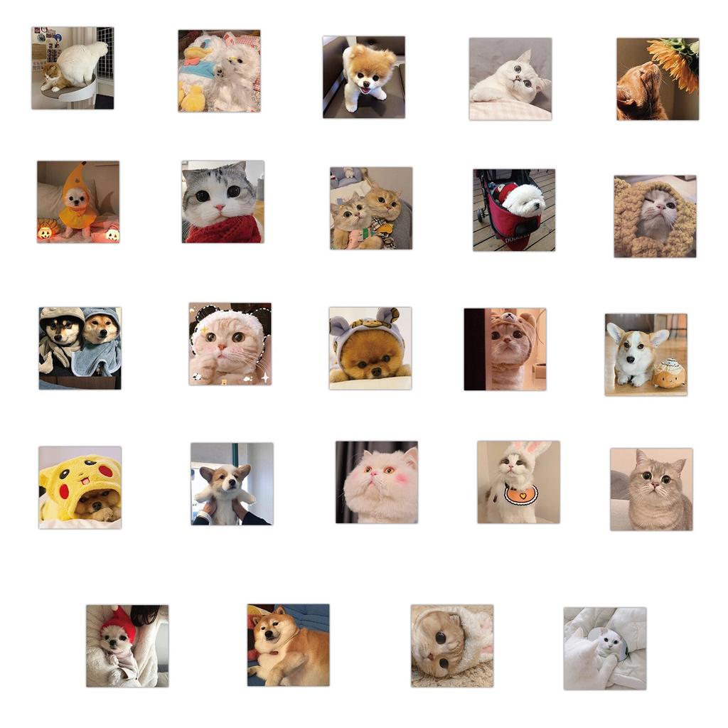 50pcs Cute Cat and Gog Stickers Waterproof Vinyl Stickers for Kids Laptop Phone Toy Stickers Computer Motorcycle Decals