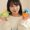 Realistic Parrot Plush Doll Cute Animal Simulation Birds Toys Bird Series Plush Toy  Car Decor