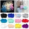 Wedding Ornaments Natural Color Colorful Feather Costume Decoration Home Decoration Goose Feathers