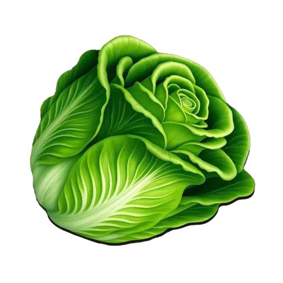 3D Цветочный Плейсмат Диатомовая Земля Абсорбирующий Обеденный Мат Термостойкий Реалистичный Цветочный Плейсмат для Обеденного Стола Кухонной Столешницы Декор Стола