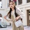 Trendy Women's Platinum Handbag, Women's New Small Bag, Shoulder Bag, Crossbody Bag, Handbag Embroidery