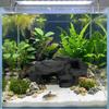 Realistic Texture Fish Tank Rockery Ornaments Reptile Resting Place  Turtle Resting Terrace