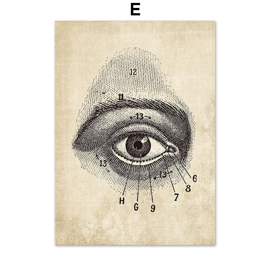 Постеры на скандинавскую тему и принты, настенная живопись на холсте, Анатомия, скелет, винтажные настенные панно для больницы, доктора, офисного декора