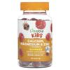 Children's Calcium, Magnesium and Zinc + Vitamin D3 Gummies, Natural Raspberry Flavor, 60 Gummies