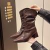 Fashion Boots Women's High Heel 2024 Winter New Pile Boots Skinny Boots Pointed Coarse Heel Fleece Short Boots