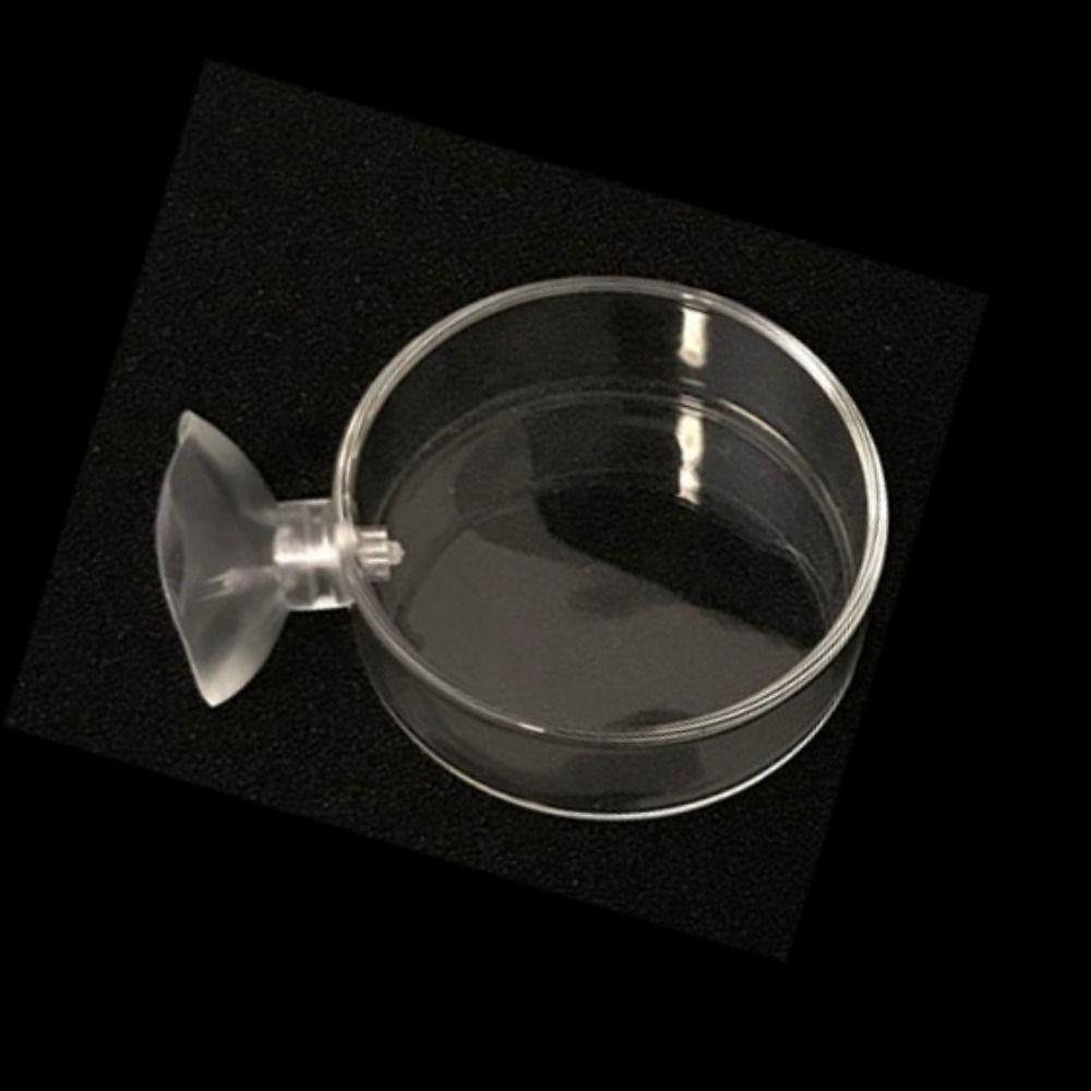 Аквариумные аксессуары Прозрачная коробка для корма для креветок Тарелка для кормления рыб Кормушка для креветок Миска для кормления рыб