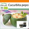 Garden in the Bag - Органический - Кабачок - Tondo di Nizza - 5 семян - С субстратом в подходящем пакете-стойке - Cucurbita pepo