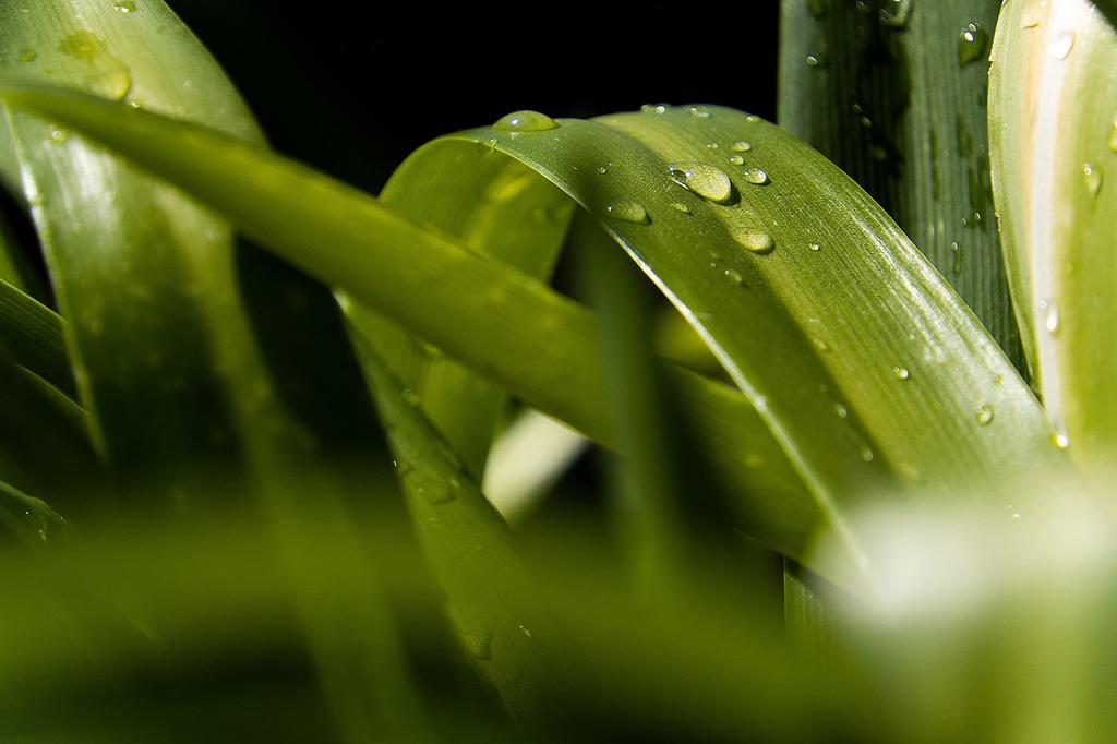 Tamron TAMRON 18-300mmF3.5-6.3Di-A VC VXD for Sony E Mount [B061S]