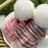 Dog Clothes Spring And Summer Striped Dress Small Dog Teddy Pomeranian Bichon Casual Anti-shedding Pet Clothing