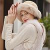 Hat Women's Winter All-match Net Red Plus Cashmere Lamb Hair Fisherman Hat Leisure Wide Brim Warm Plush Basin Hat