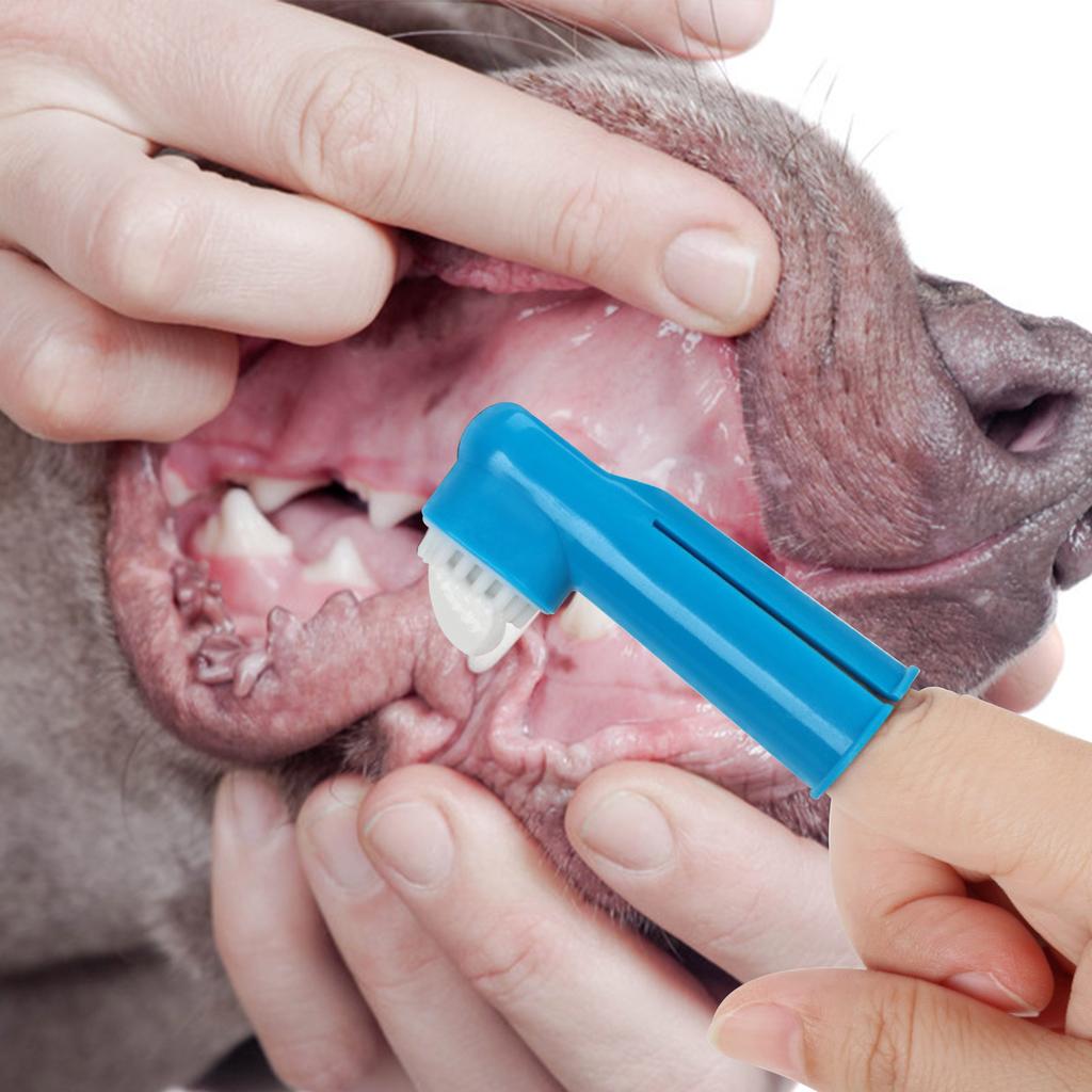 Пальчиковая зубная щетка для питомцев, Зубная щетка для собак, Набор для чистки полости рта пальцами для кошек, Зубная щетка для кошек, Товары для питомцев