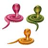 Имитация змеи, гигантская игрушка кобры, реалистичная змеиная кожа, плюшевые плюшевые игрушки, забавная игрушка-трюк, мягкая кукла-животное