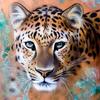 5D Diy Diamond Embroidered Animal Forest Leopard Diamond Painting Diamond Embroidery
