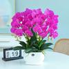 Artificial Phalaenopsis Floral Arrangement for Living Room Display - Potted Decoration for TV Cabinet