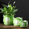Креативная керамическая ваза в виде пекинской капусты Маленькие цветочные горшки Настольное украшение Цветочная композиция Ваза для цветов Эстетичный декор комнаты