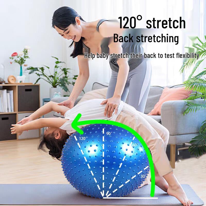Zhen Chang Sheng Thickened Massage & Yoga Ball