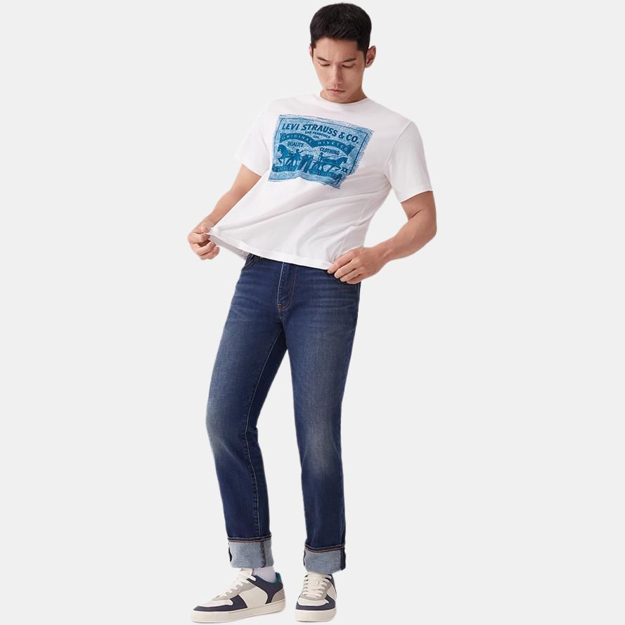 Levis Футболка мужская с принтом, свободного кроя, с коротким рукавом, повседневная, топы, белая 16143-1572