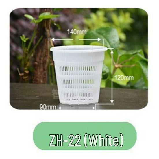 Breathable Plastic Orchid Pot for Phalaenopsis and Cymbidium Bonsai