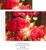 Eternal Dried Roses Glass Dome Gift Box - Perfect for Valentine's, Birthdays, and Special Occasions.