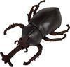 Eisho Realistic Rhinoceros Beetle Plush Toy, 24cm Long, 17cm Wide, 7.5cm High