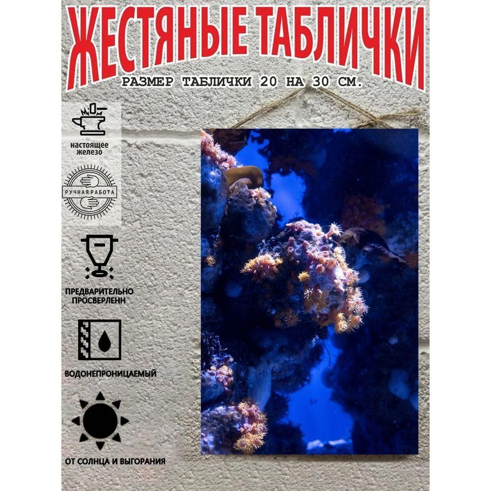 Металлические Настенные Знаки, Коллекция Морских Существ, Декор Комнаты, 20x30 см